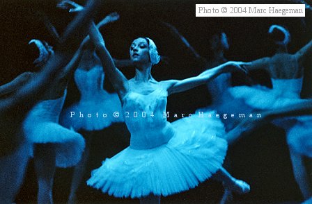 Bolshoi Ballet corps Swan Lake