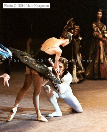 Stepanenko/Filin in Swan Lake