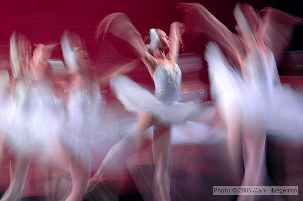 Mariinsky corps de ballet, Swan Lake