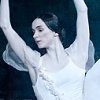 Mikhailovsky Giselle