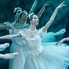 Mikhailovsky Giselle