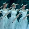 Mikhailovsky Giselle