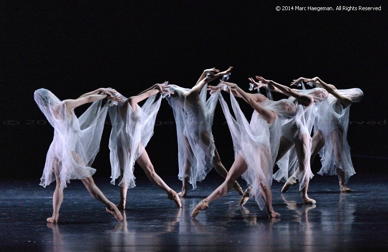 Artists of the Semperoper Ballett (© 2014 Marc Haegeman)